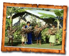 Discoverabaca-Personalised Discoverabaca-Personalised