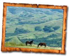 Nausori-Highland-tour-personalised-tour
