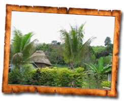 discover nadi discover nadi